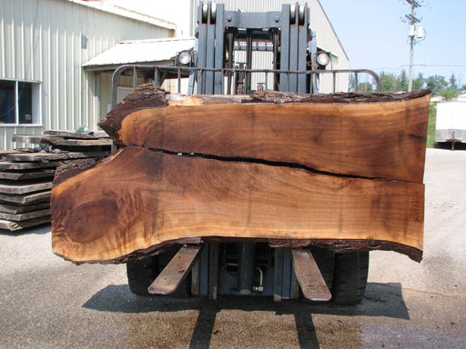 Walnut, American #7681(LA) 2-1/2" x 34" to 40" x 80" to 98" - FREE SHIPPING within the Contiguous US. freeshipping - Big Wood Slabs
