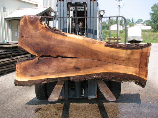 Walnut, American #7682(LA) 2-1/2" x 17" to 48" x 97" - FREE SHIPPING within the Contiguous US. freeshipping - Big Wood Slabs