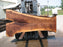 Walnut, American #7682(LA) 2-1/2" x 17" to 48" x 97" - FREE SHIPPING within the Contiguous US. freeshipping - Big Wood Slabs