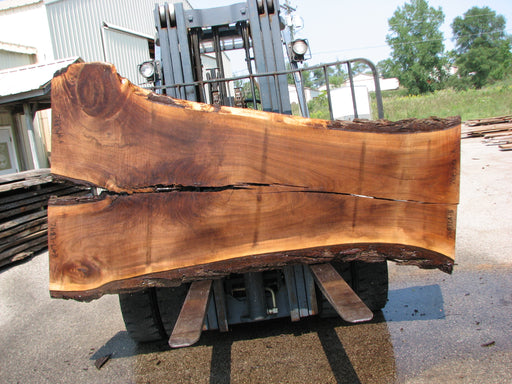 Walnut, American #7683(LA) 2-1/2" x 26" to 54" x 97" - FREE SHIPPING within the Contiguous US. freeshipping - Big Wood Slabs