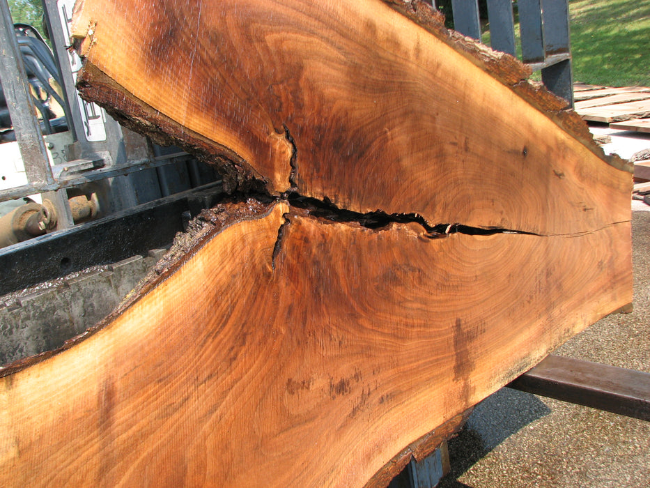 Walnut, American #7684(LA) 2-1/2" x 7" to 34" x 74" - FREE SHIPPING within the Contiguous US. freeshipping - Big Wood Slabs