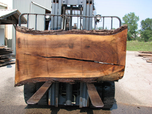 Walnut, American #7685(LA) 2-1/2" x 27" to 36" x 75" - FREE SHIPPING within the Contiguous US. freeshipping - Big Wood Slabs