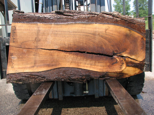 Walnut, American #7686(LA) 2-1/2" x 12" to 22" x 59" - FREE SHIPPING within the Contiguous US. freeshipping - Big Wood Slabs