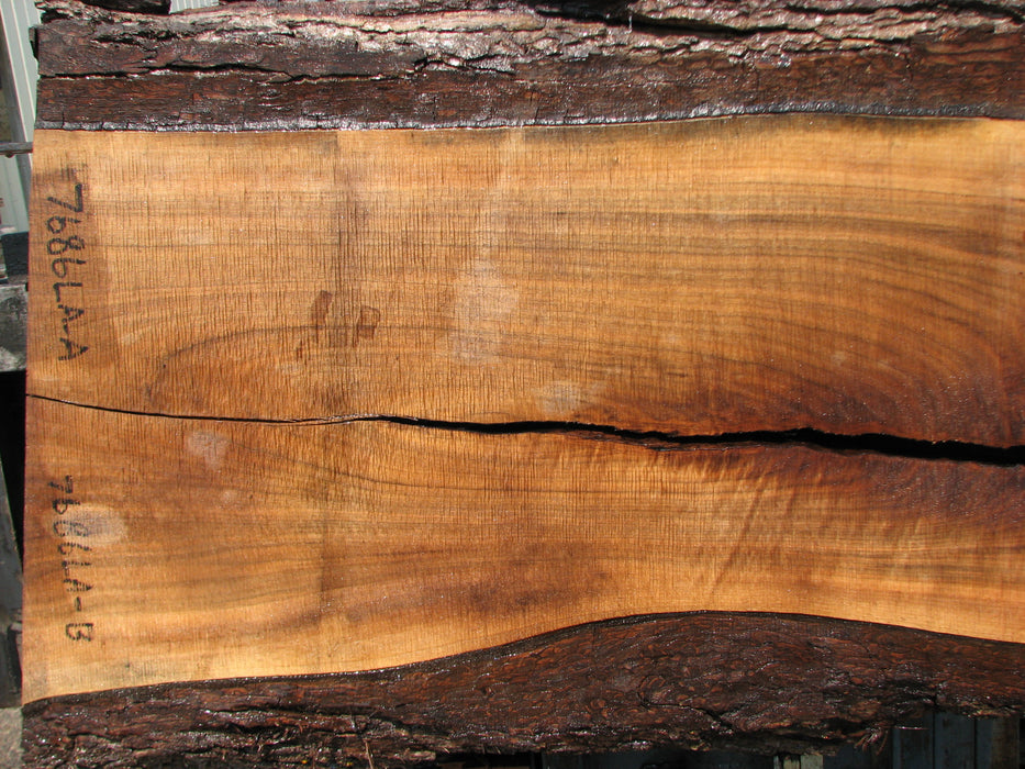 Walnut, American #7686(LA) 2-1/2" x 12" to 22" x 59" - FREE SHIPPING within the Contiguous US. freeshipping - Big Wood Slabs