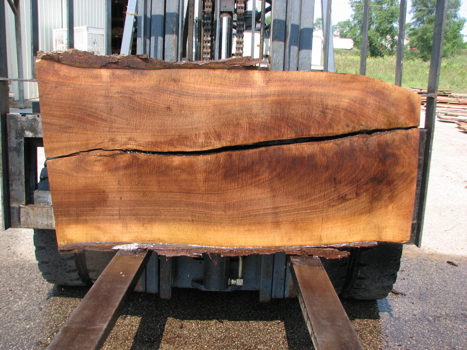 Walnut, American #7686(LA) 2-1/2" x 12" to 22" x 59" - FREE SHIPPING within the Contiguous US. freeshipping - Big Wood Slabs