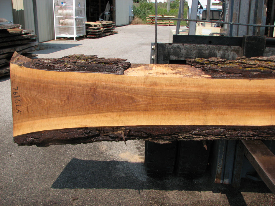 Walnut, American #7688(LA) 2-1/2" x 10" to 18" x 127" - FREE SHIPPING within the Contiguous US. freeshipping - Big Wood Slabs