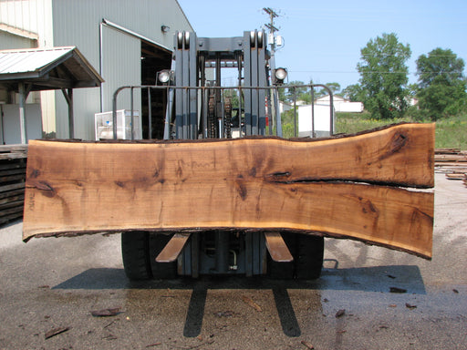 Walnut, American #7689(LA) 2-1/2" x 26" to 43" x 133" - FREE SHIPPING within the Contiguous US. freeshipping - Big Wood Slabs