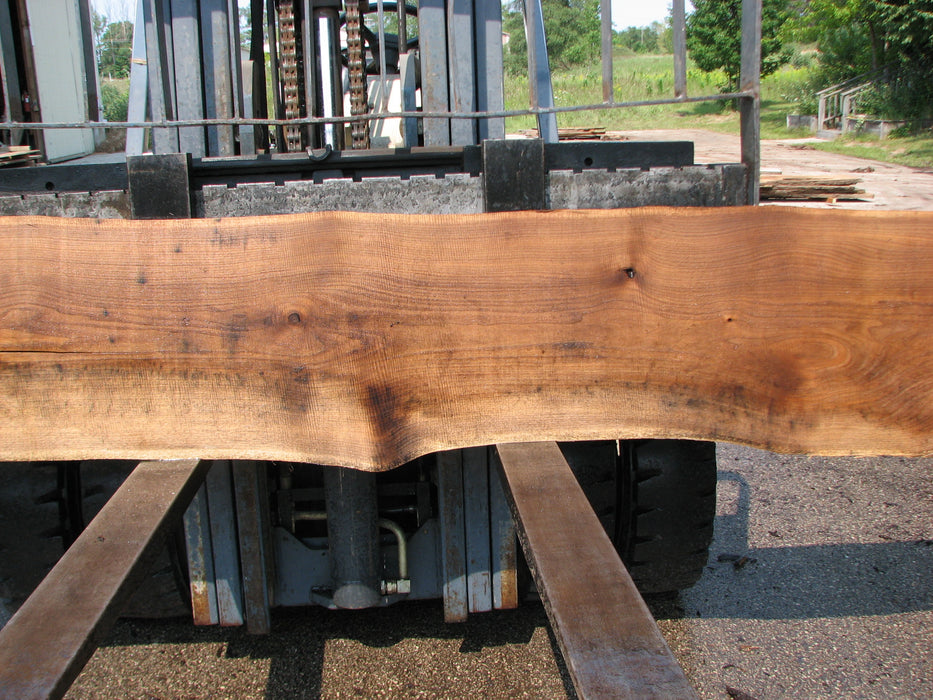 Walnut, American #7696(LA)  2" x 15" to 21" x 144" - FREE SHIPPING within the Contiguous US. freeshipping - Big Wood Slabs