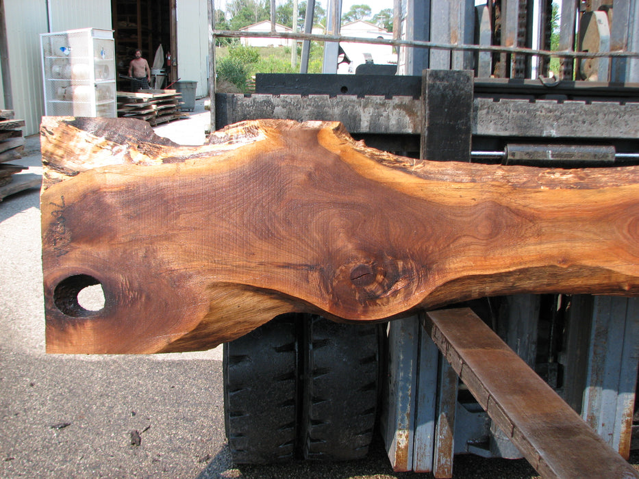 Walnut, American #7697(LA)  1-1/2" x 7" to 18" x 139" - FREE SHIPPING within the Contiguous US. freeshipping - Big Wood Slabs