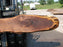 Walnut, American #7698(LA)  1-1/4" x 10" to 17" x 147" - FREE SHIPPING within the Contiguous US. freeshipping - Big Wood Slabs