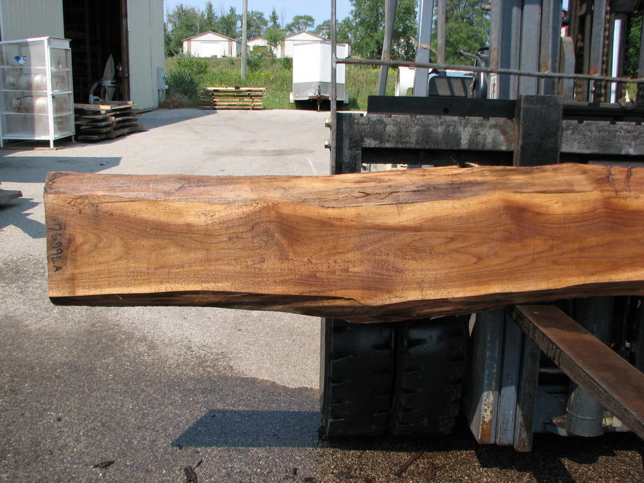 Walnut, American #7699(LA)  2" x 10" to 17" x 147" - FREE SHIPPING within the Contiguous US. freeshipping - Big Wood Slabs