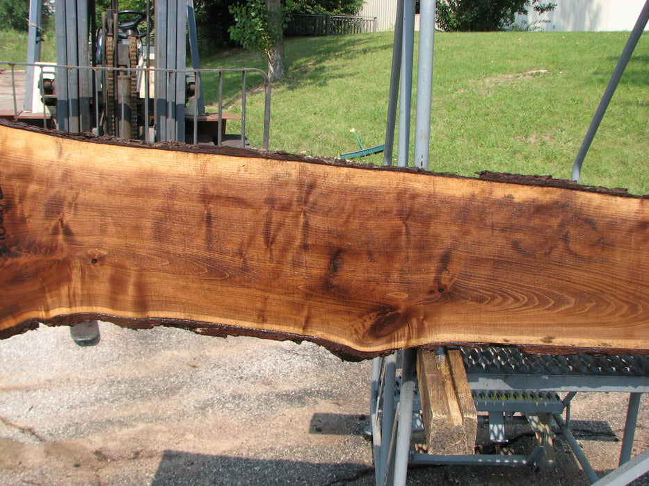 Walnut, American #7800(LA)  2" x 5" to 12" x 85" - FREE SHIPPING within the Contiguous US. freeshipping - Big Wood Slabs