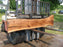 Walnut, American #7812(LA)  2" x 13" to 24" x 100" - FREE SHIPPING within the Contiguous US. freeshipping - Big Wood Slabs