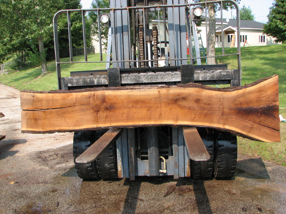 Walnut, American #7812(LA)  2" x 13" to 24" x 100" - FREE SHIPPING within the Contiguous US. freeshipping - Big Wood Slabs