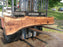 Walnut, American #7814(LA)  3" x 11" to 21" x 100" - FREE SHIPPING within the Contiguous US. freeshipping - Big Wood Slabs