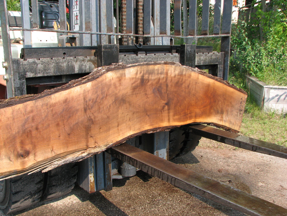Walnut, American #7823(LA)  2" x  12" to 15" x 87" - FREE SHIPPING within the Contiguous US. freeshipping - Big Wood Slabs