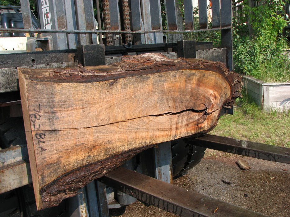 Walnut, American #7828(LA)  2-1/2" x  13" to 16" x 56" - FREE SHIPPING within the Contiguous US. freeshipping - Big Wood Slabs