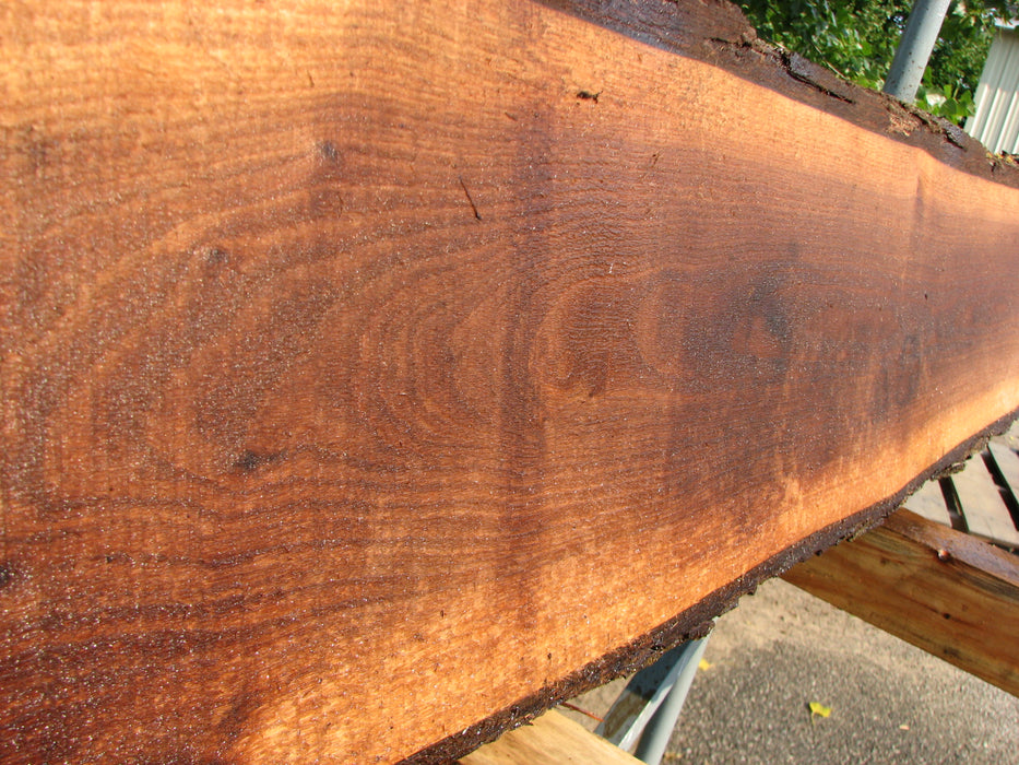 Walnut, American #7832(LA)  2" x 9" x 73" - FREE SHIPPING within the Contiguous US. freeshipping - Big Wood Slabs
