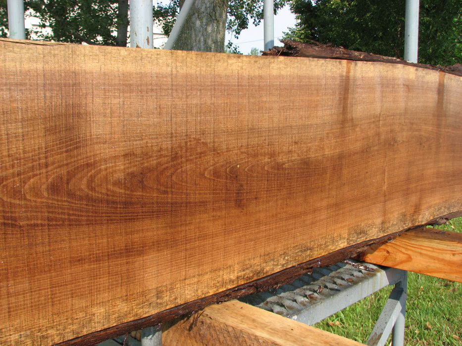Walnut, American #7839(LA)  2" x 7" to 10" x 83" - FREE SHIPPING within the Contiguous US. freeshipping - Big Wood Slabs