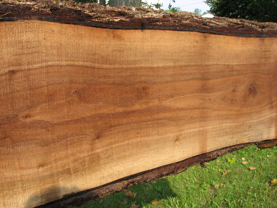 Walnut, American #7841(LA)  2" x 9" to 13" x 76" - FREE SHIPPING within the Contiguous US. freeshipping - Big Wood Slabs