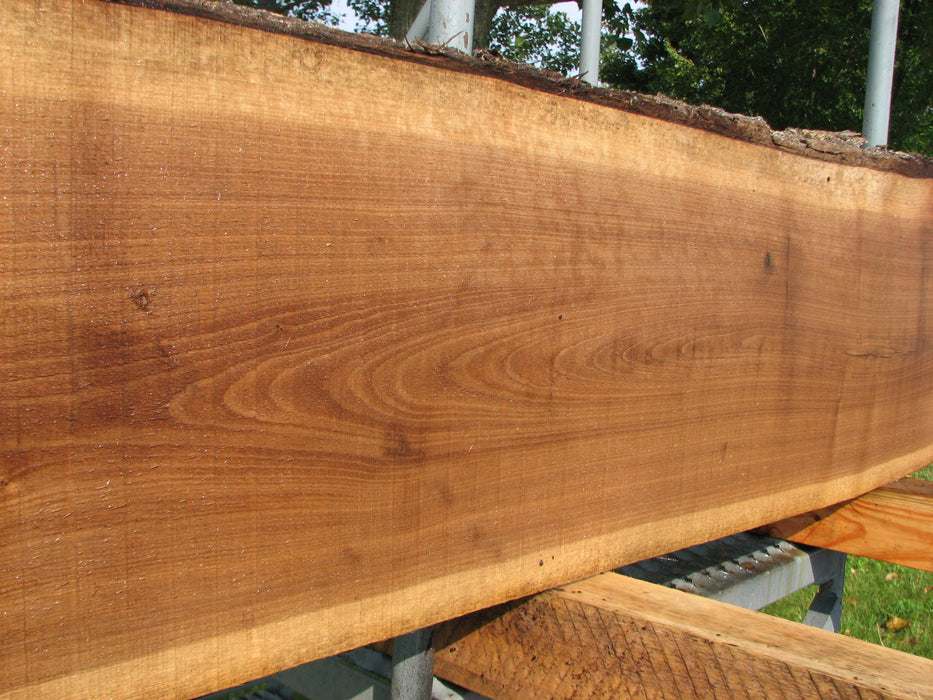 Walnut, American #7844(LA)  2-1/2" x 11" to 12" x 80" - FREE SHIPPING within the Contiguous US. freeshipping - Big Wood Slabs