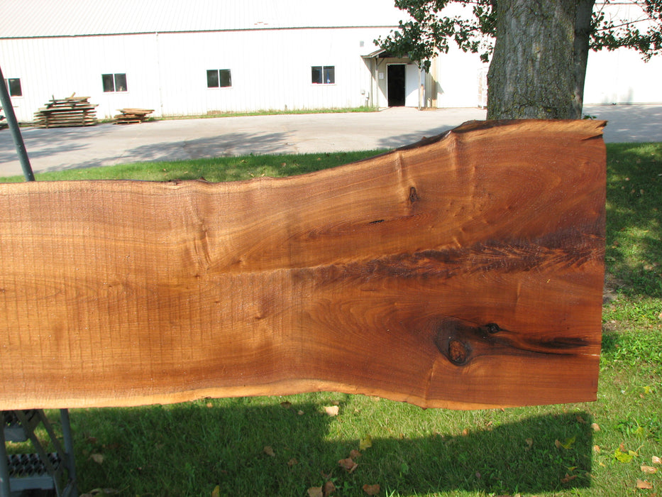Walnut, American #7845(LA)  2-1/2" x 12" to 20" x 123" - FREE SHIPPING within the Contiguous US. freeshipping - Big Wood Slabs