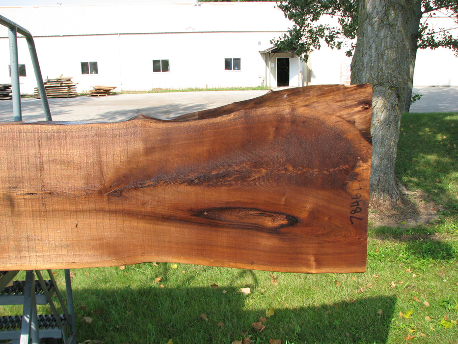 Walnut, American #7846(LA)  2" x 12" to 17" x 122" - FREE SHIPPING within the Contiguous US. freeshipping - Big Wood Slabs