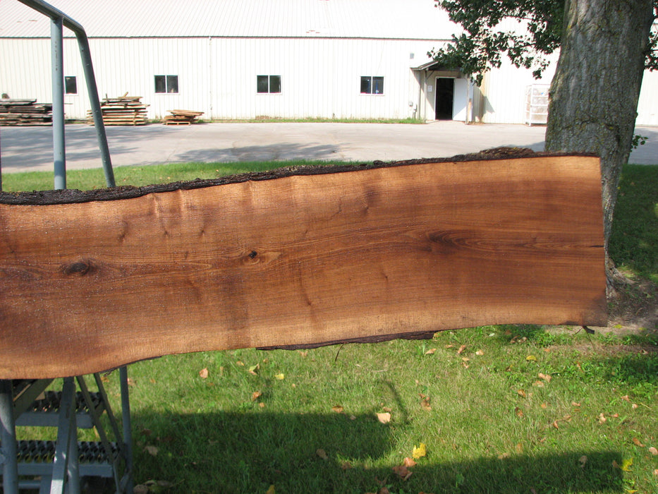 Walnut, American #7849(LA)  2" x 8" to 17" x 113" - FREE SHIPPING within the Contiguous US. freeshipping - Big Wood Slabs