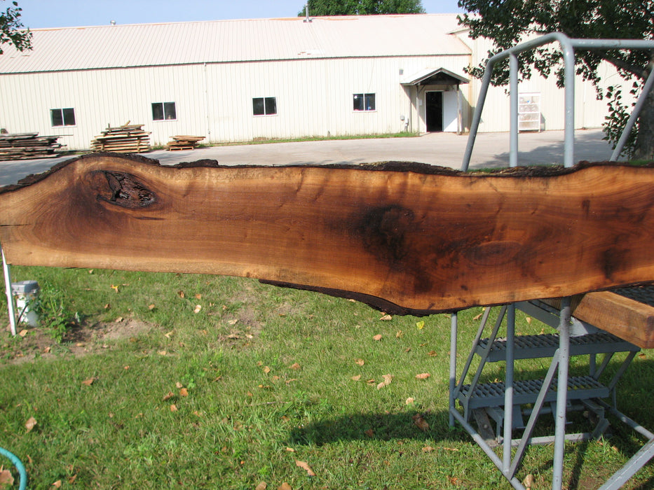 Walnut, American #7850(LA)  1-1/2" x 8" to 13" x 113" - FREE SHIPPING within the Contiguous US. freeshipping - Big Wood Slabs