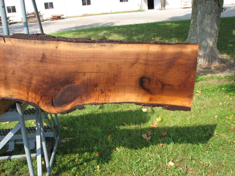 Walnut, American #7850(LA)  1-1/2" x 8" to 13" x 113" - FREE SHIPPING within the Contiguous US. freeshipping - Big Wood Slabs