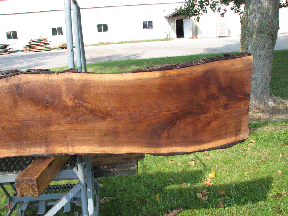 Walnut, American #7853(LA)  2" x 9" to 14" x 88" - FREE SHIPPING within the Contiguous US. freeshipping - Big Wood Slabs