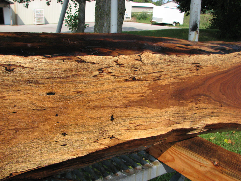 Walnut, American #7856(LA)  2" x 6" to 13" x 63" - FREE SHIPPING within the Contiguous US. freeshipping - Big Wood Slabs