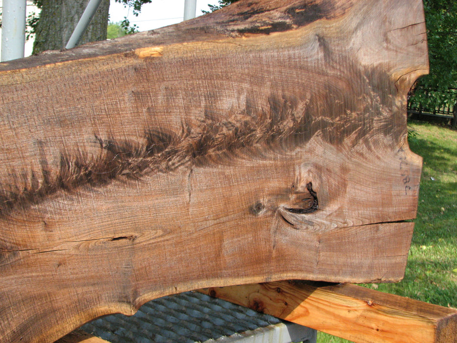 Walnut, American #7857(LA)  2-3/4" x 11" to 23" x 40" - FREE SHIPPING within the Contiguous US. freeshipping - Big Wood Slabs