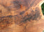 Walnut, American #7857(LA)  2-3/4" x 11" to 23" x 40" - FREE SHIPPING within the Contiguous US. freeshipping - Big Wood Slabs