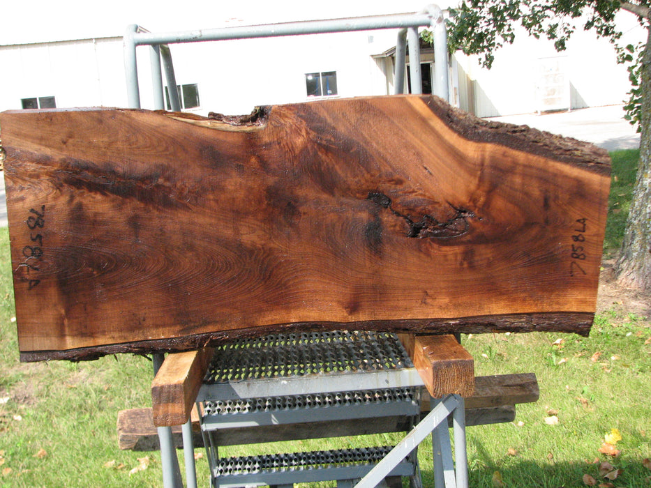 Walnut, American #7858(LA)  2-3/4" x 7" to 19" x 47" - FREE SHIPPING within the Contiguous US. freeshipping - Big Wood Slabs