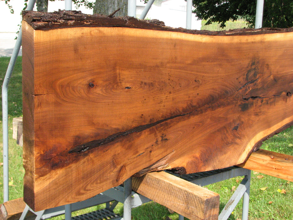 Walnut, American #7858(LA)  2-3/4" x 7" to 19" x 47" - FREE SHIPPING within the Contiguous US. freeshipping - Big Wood Slabs