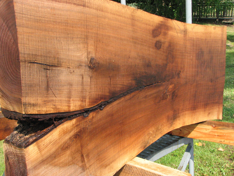 Walnut, American #7860(LA) - 4" x 12" to 22" x 43" - FREE SHIPPING within the Contiguous US. freeshipping - Big Wood Slabs