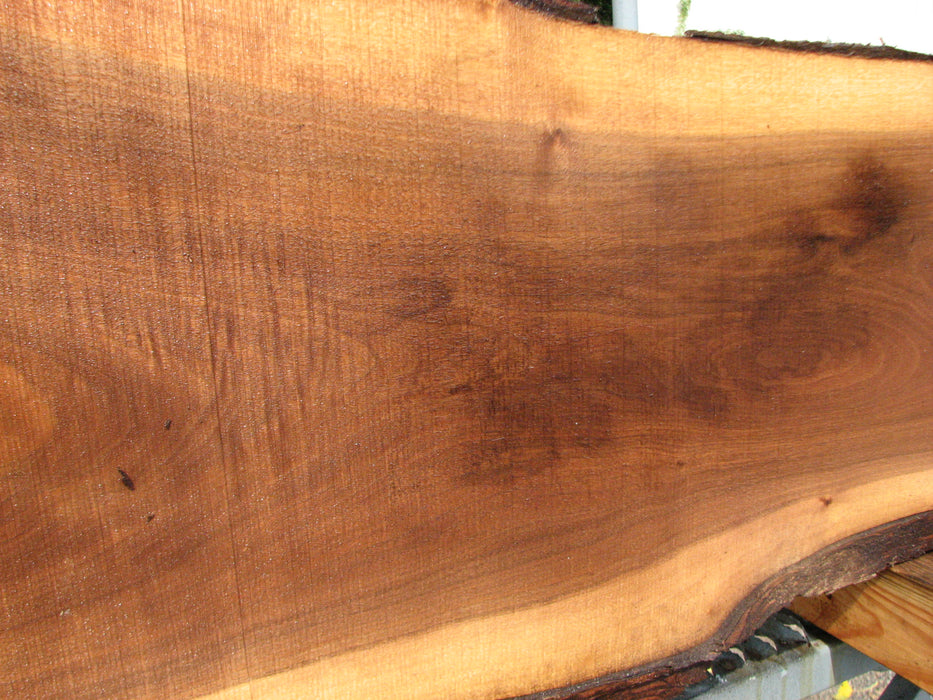 Walnut, American #7877(LA) - 2" x 14" x 31" - FREE SHIPPING within the Contiguous US. freeshipping - Big Wood Slabs