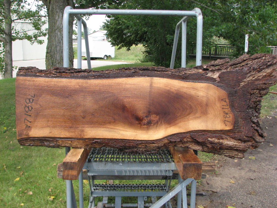 Walnut, American #7881(LA) - 2" x 9" to 11" x 40" - FREE SHIPPING within the Contiguous US. freeshipping - Big Wood Slabs