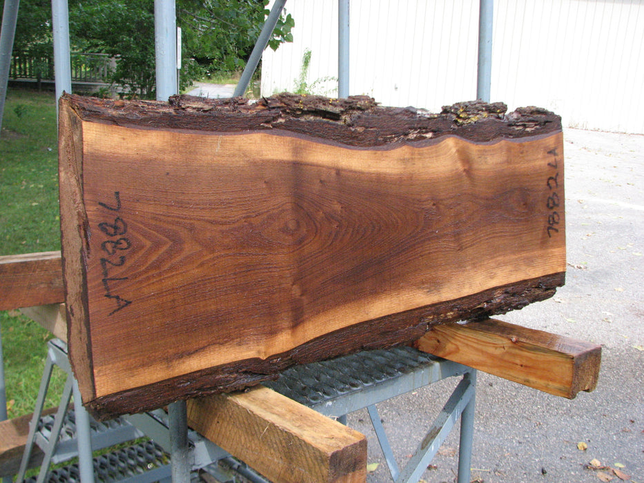 Walnut, American #7882(LA) - 2" x 9" to 11" x 37" - FREE SHIPPING within the Contiguous US. freeshipping - Big Wood Slabs