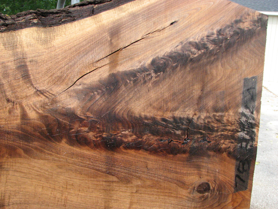 Walnut, American #7883(LA) - 2" x 14" to 24" x 26" - FREE SHIPPING within the Contiguous US. freeshipping - Big Wood Slabs