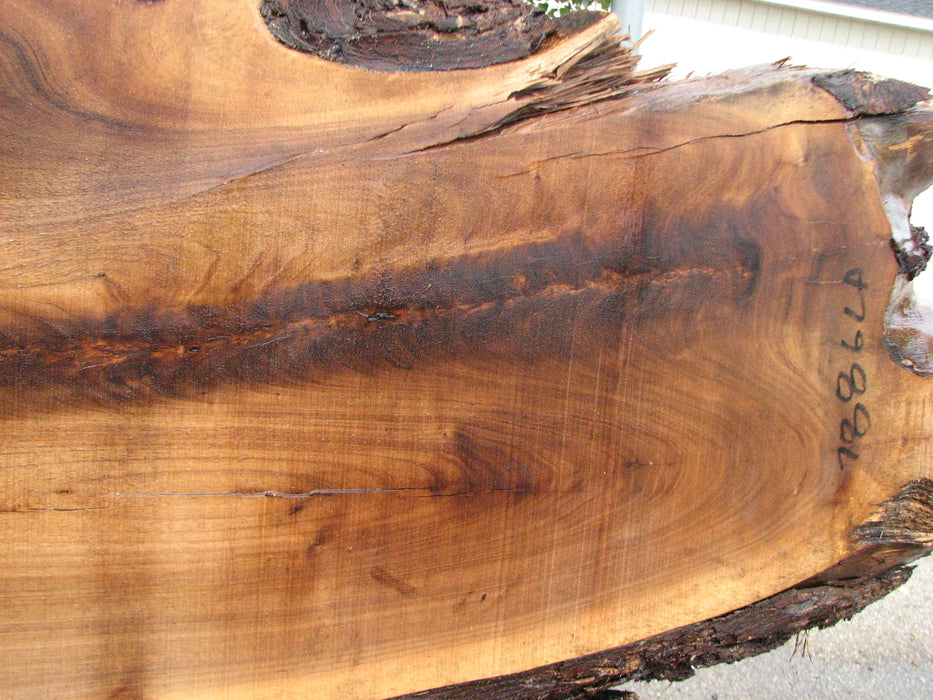 Walnut, American #7886(LA) - 3-1/4" x 14" to 18" x 55" - FREE SHIPPING within the Contiguous US. freeshipping - Big Wood Slabs