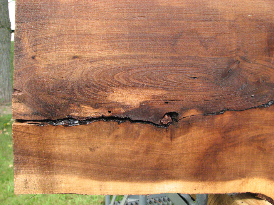 Walnut, American #7886(LA) - 3-1/4" x 14" to 18" x 55" - FREE SHIPPING within the Contiguous US. freeshipping - Big Wood Slabs
