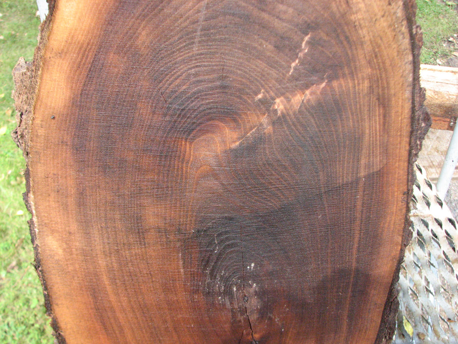 Walnut, American #7888(LA) - 1" x 13" x 21" - FREE SHIPPING within the Contiguous US. freeshipping - Big Wood Slabs