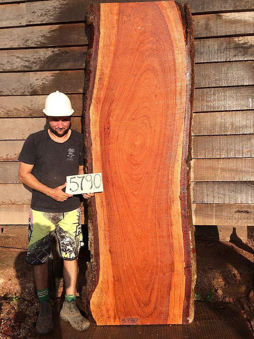 Jatoba / Brazilian Cherry #5790- 2-1/2" x 21" to 27" x 91" FREE SHIPPING within the Contiguous US. freeshipping - Big Wood Slabs