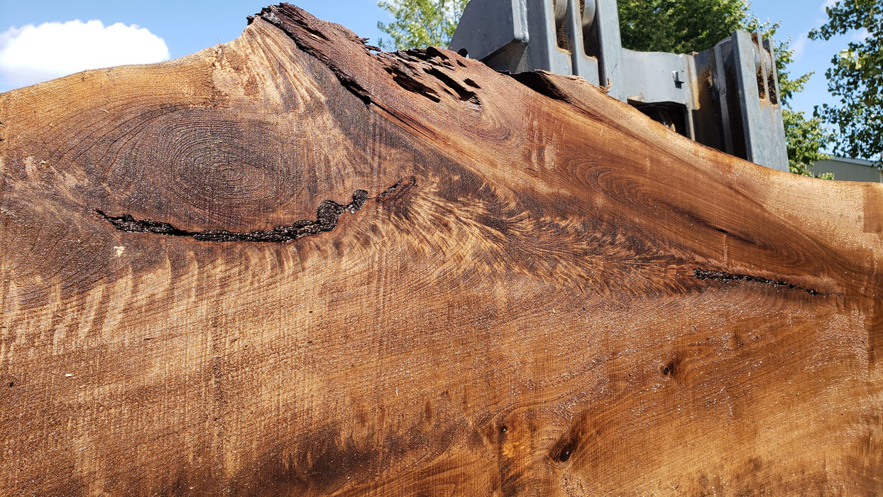 Walnut, American #8005(LA)- Book Matched Set - 2-1/2" x (45" to 61") x 172" - FREE SHIPPING within the Contiguous US. freeshipping - Big Wood Slabs