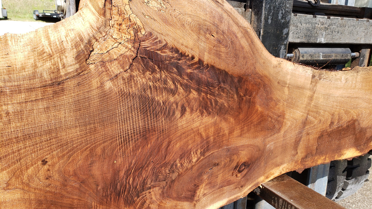 Walnut, American #8010(LA) - 2-1/4" x 3" to 28" x 110" - FREE SHIPPING within the Contiguous US. freeshipping - Big Wood Slabs