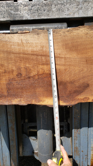 Walnut, American #8010(LA) - 2-1/4" x 3" to 28" x 110" - FREE SHIPPING within the Contiguous US. freeshipping - Big Wood Slabs