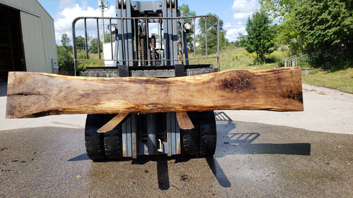 Red Oak #8017(LA) - 2-1/4" x 9" to 22" x 142" FREE SHIPPING within the Contiguous US. freeshipping - Big Wood Slabs