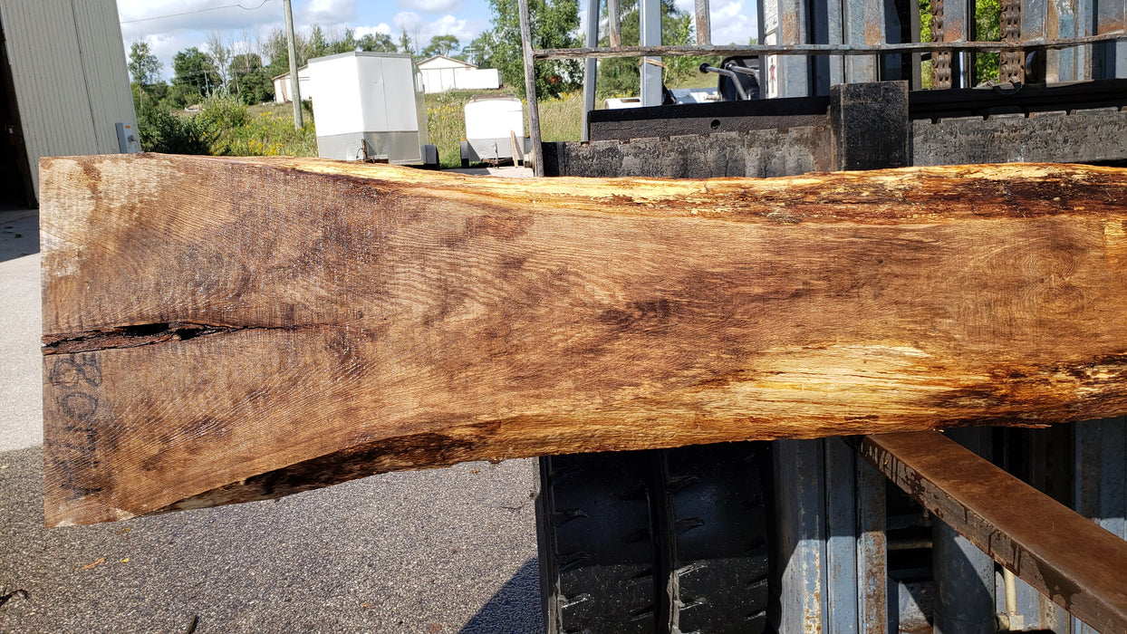 Red Oak #8017(LA) - 2-1/4" x 9" to 22" x 142" FREE SHIPPING within the Contiguous US. freeshipping - Big Wood Slabs